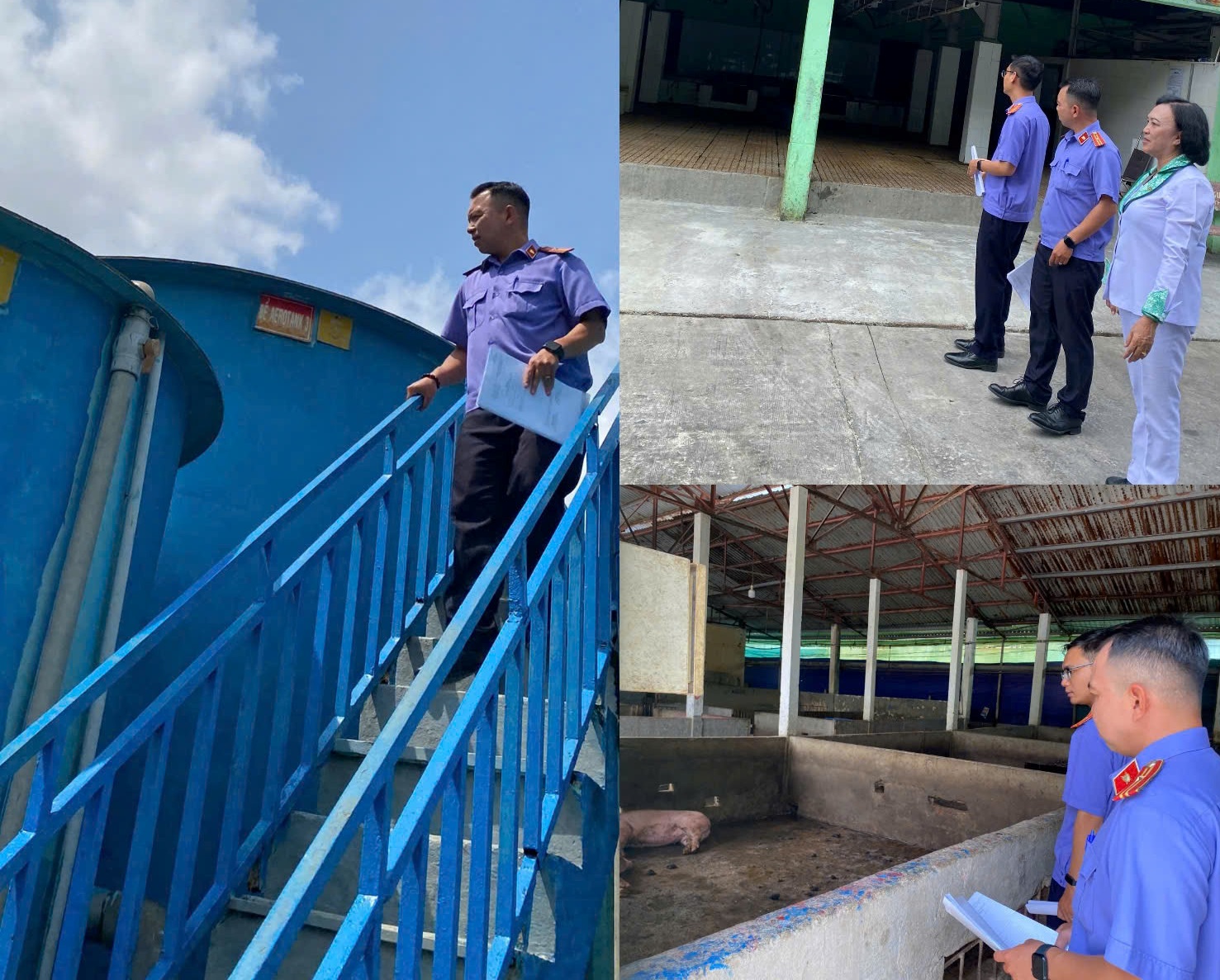 VKSND Khu vực 1 - Cần Thơ thực hiện Nghị quyết 205/2025/QH15 trên địa bàn phường Tân An