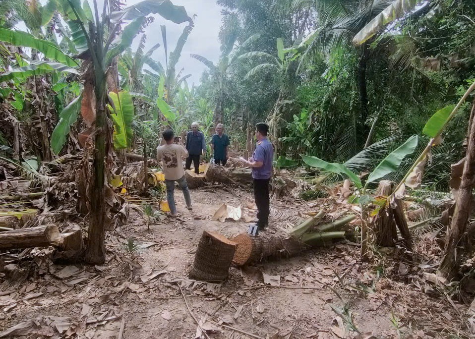 VKSND Khu vực 9 - Cần Thơ kiểm sát khám nghiệm hiện trường vụ huỷ hoại tài sản