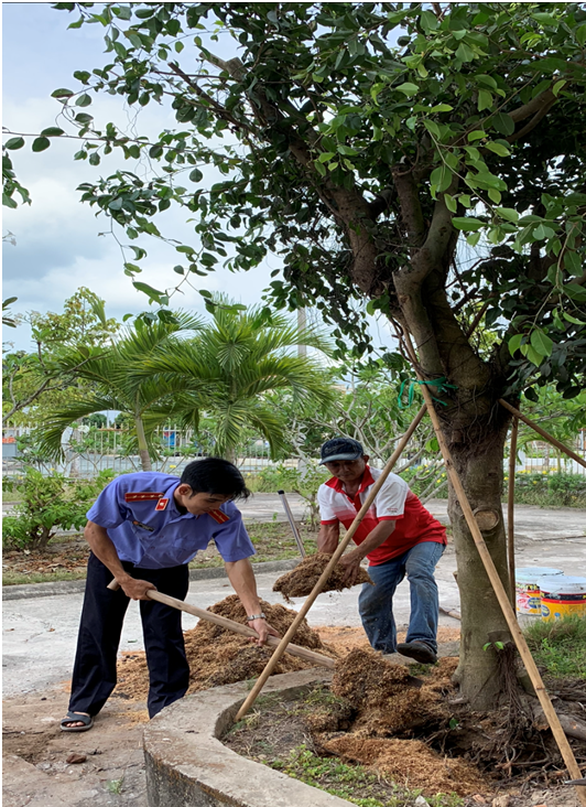 Nhân ngày sinh nhật Bác, nhớ lời kêu gọi “Tết trồng cây”